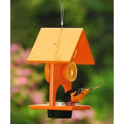 Recycled Plastic Fruit and Jelly Bird Feeder