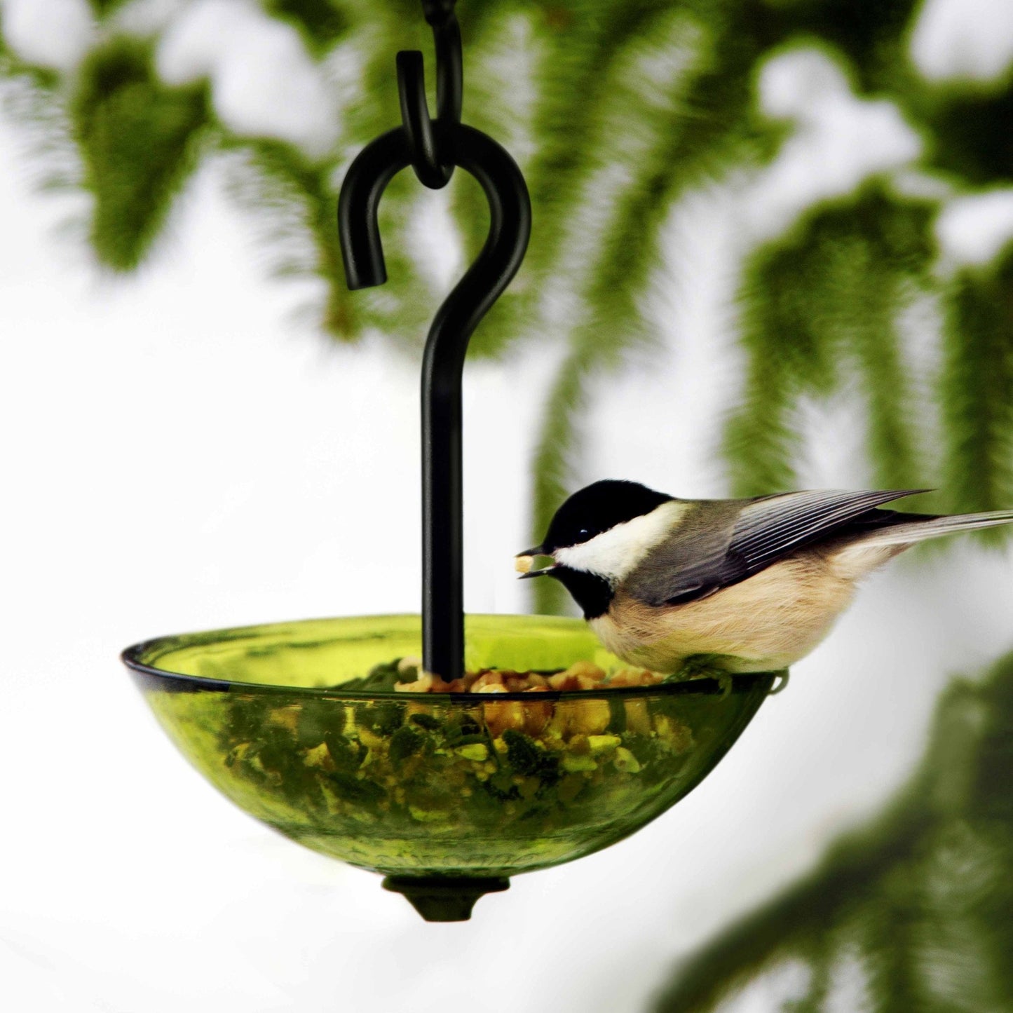 Single Hanging Poppy Bird Feeder with Nylon Rope | Decorative Bird Feeder for Birds, Outdoor Garden Decor & Unique Gift - BIRDLOVER