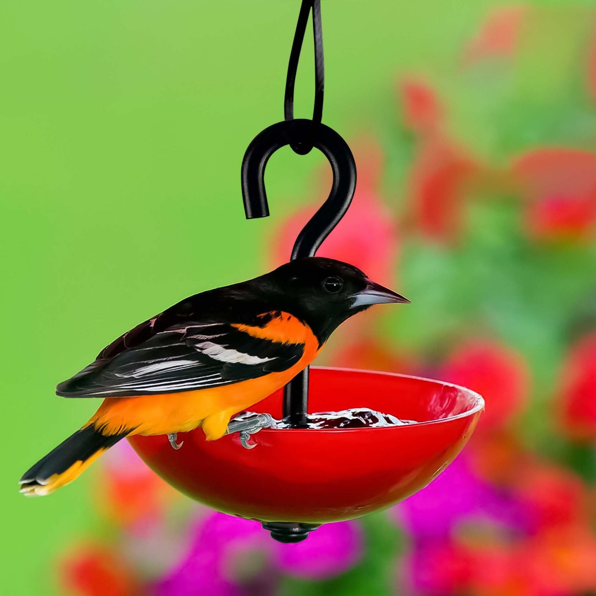 Single Hanging Poppy Bird Feeder with Nylon Rope | Decorative Bird Feeder for Birds, Outdoor Garden Decor & Unique Gift - BIRDLOVER