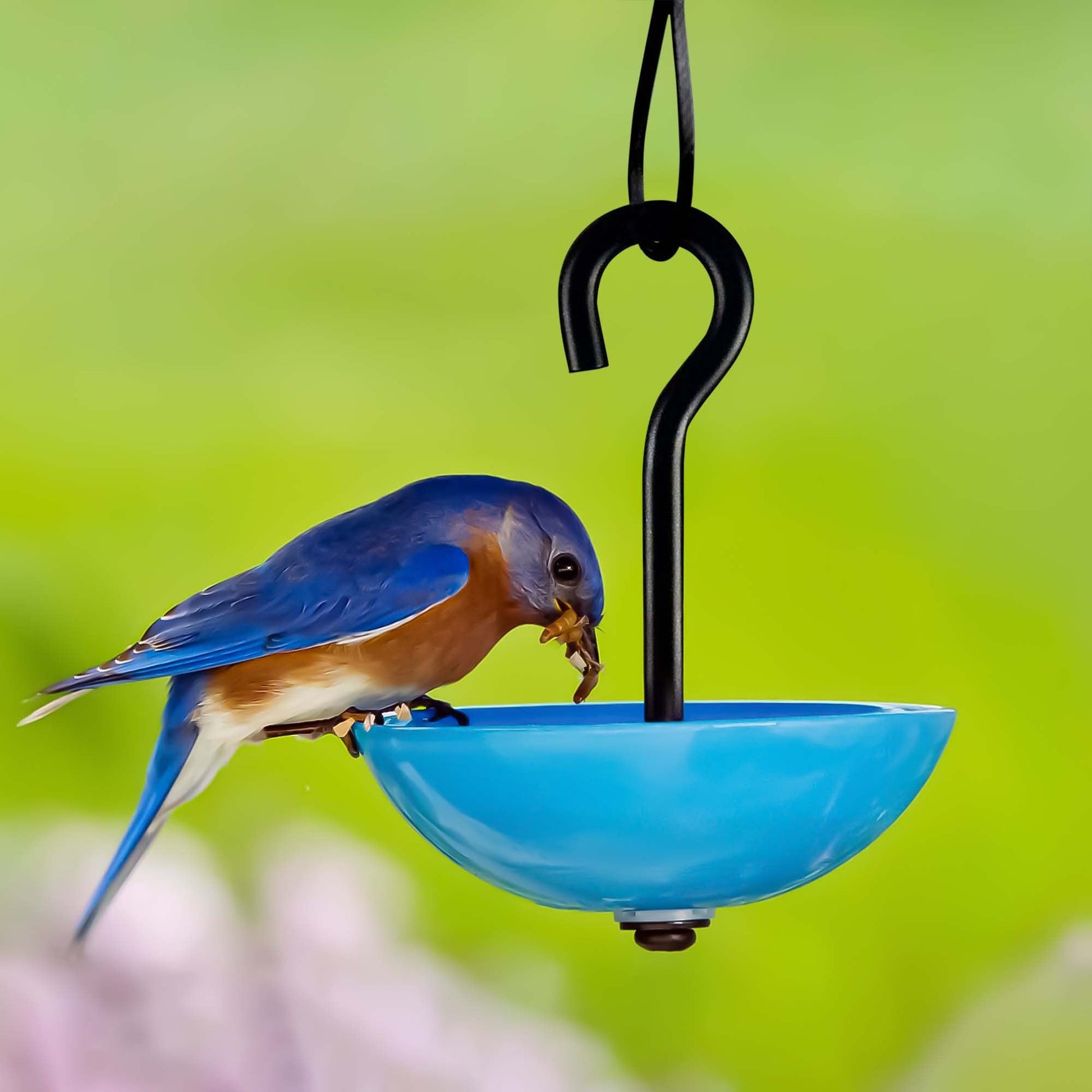 Single Hanging Poppy Bird Feeder with Nylon Rope | Decorative Bird Feeder for Birds, Outdoor Garden Decor & Unique Gift - BIRDLOVER