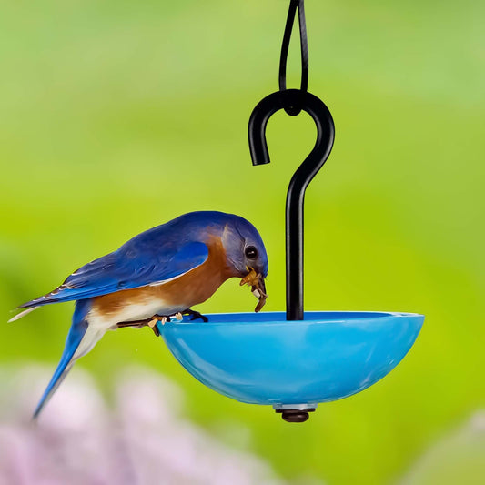 Single Hanging Poppy Bird Feeder with Nylon Rope | Decorative Bird Feeder for Birds, Outdoor Garden Decor & Unique Gift - BIRDLOVER