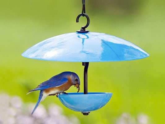 Single Poppy Bird Feeder with Baffle and Steel Core Rope | Hanging Bird Feeders for Birds, Outdoor Garden Decor & Unique Gift - BIRDLOVER