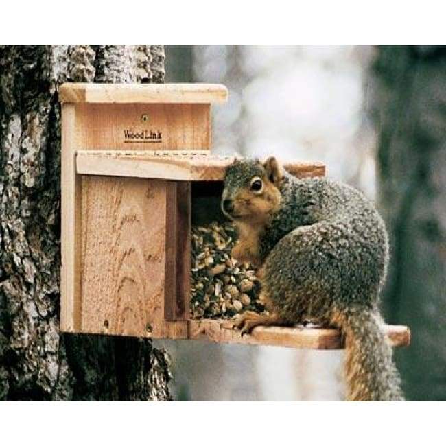 Squirrel Feeder by Woodlink