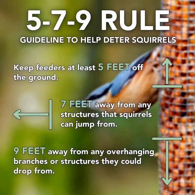 Sterling Heavy Duty Triple Bird Feeder Package - BIRDLOVER