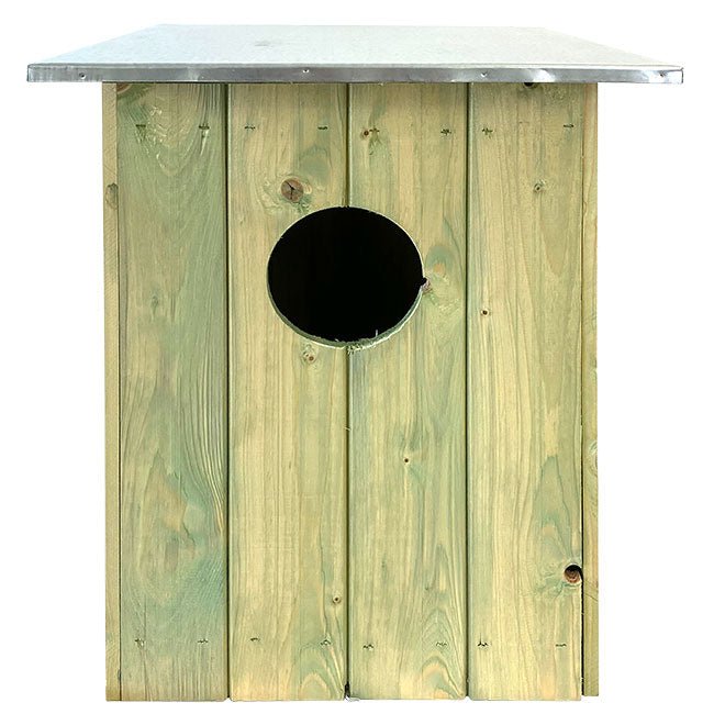 Tawny or Barred Owl House - BIRDLOVER