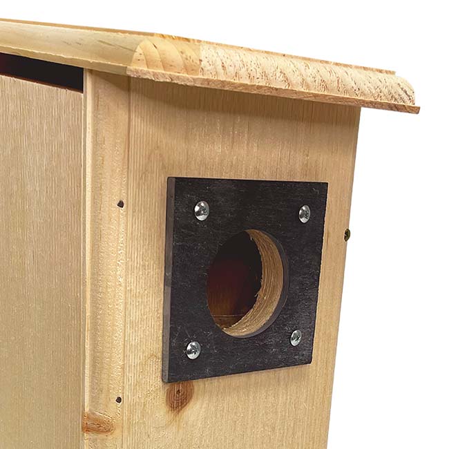 Three Woodpecker House - BIRDLOVER