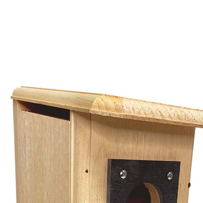 Three Woodpecker House - BIRDLOVER
