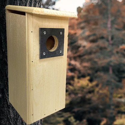 Three Woodpecker House - BIRDLOVER