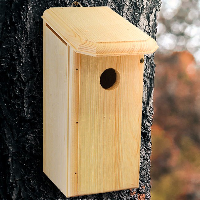 Titmouse, Warbler & Tree Swallow Bird House - BIRDLOVER