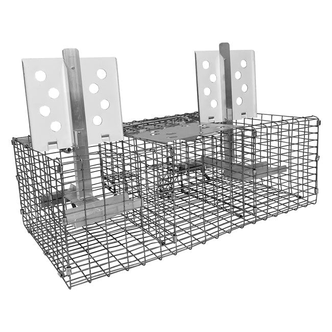 Troyer's Birds' Paradise Wire Sparrow Trap - BIRDLOVER