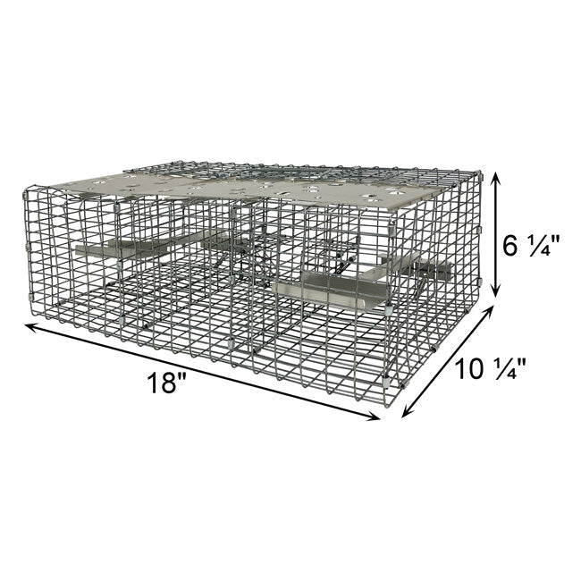 Troyer's Birds' Paradise Wire Sparrow Trap - BIRDLOVER