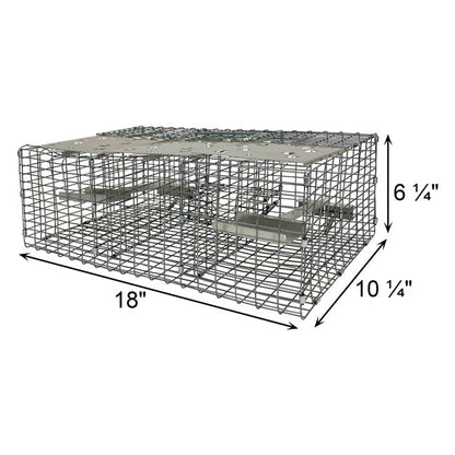 Troyer's Birds' Paradise Wire Sparrow Trap - BIRDLOVER