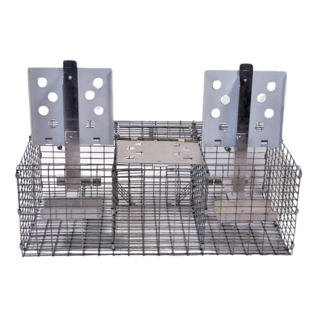 Troyer's Birds' Paradise Wire Sparrow Trap - BIRDLOVER