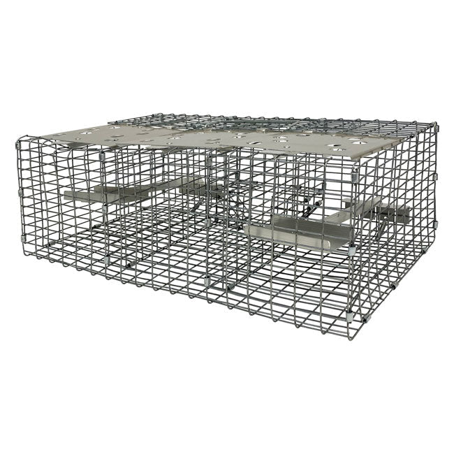 Troyer's Birds' Paradise Wire Sparrow Trap - BIRDLOVER