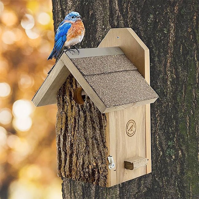 Uncle Dunkel's Bark Clad Ultimate Bluebird House - BIRDLOVER
