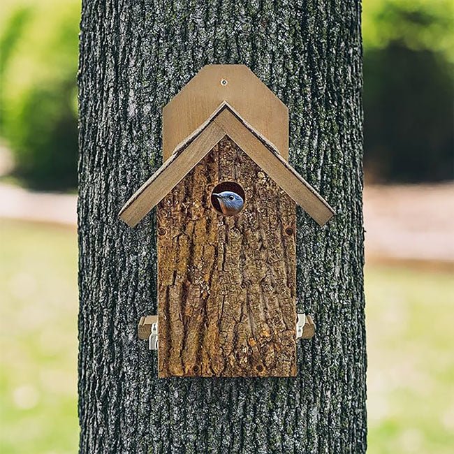 Uncle Dunkel's Bark Clad Ultimate Bluebird House - BIRDLOVER