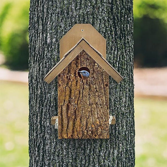 Uncle Dunkel's Bark Clad Ultimate Bluebird House - BIRDLOVER