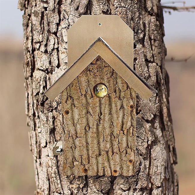 Uncle Dunkel's Bark Clad Ultimate Wren and Chickadee House - BIRDLOVER
