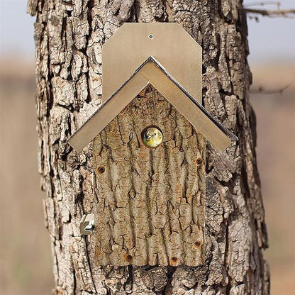 Uncle Dunkel's Bark Clad Ultimate Wren and Chickadee House - BIRDLOVER