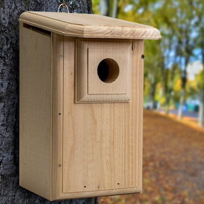 Western Bluebird House - BIRDLOVER