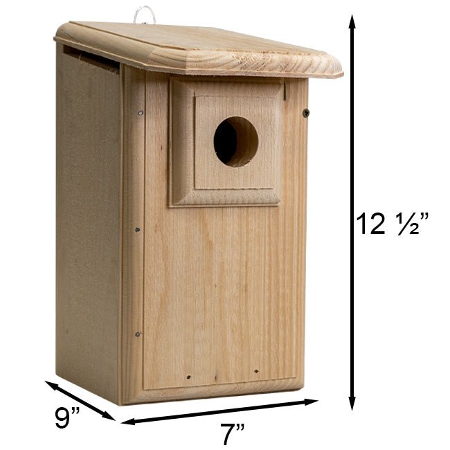 Western Bluebird House - BIRDLOVER