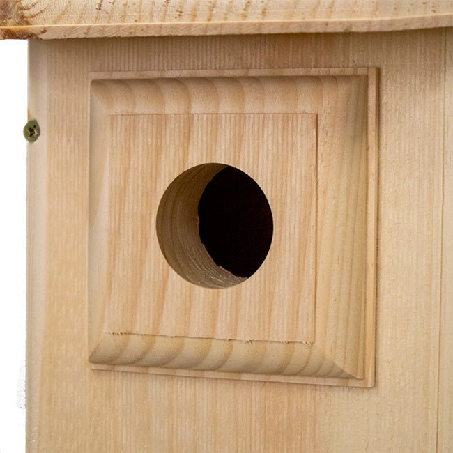 Western Bluebird House with Observation Window - BIRDLOVER