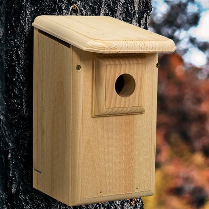 Western Bluebird House with Observation Window - BIRDLOVER