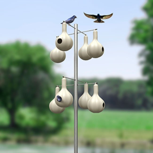 Wild Bird Lover's Purple Martin Aluminum Pole for 8 Gourds - BIRDLOVER