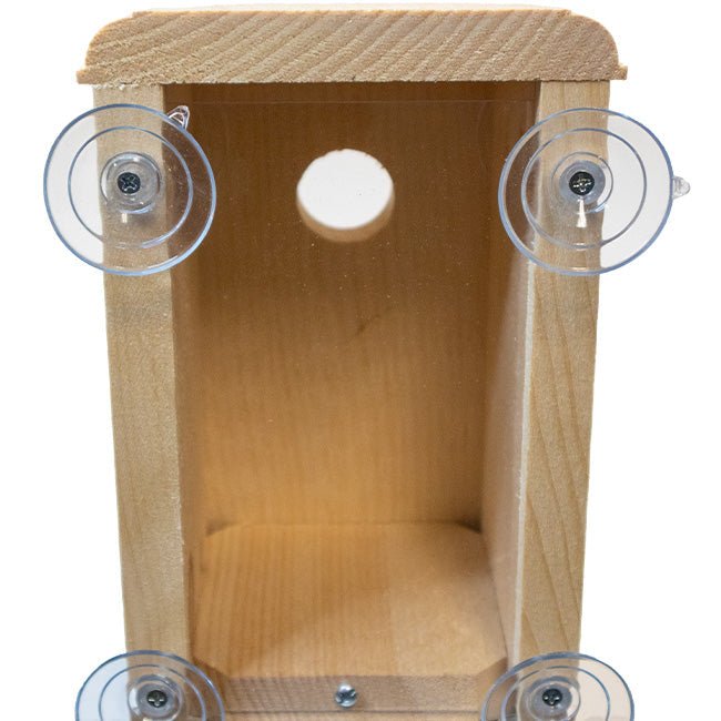 Window Nest Box - BIRDLOVER