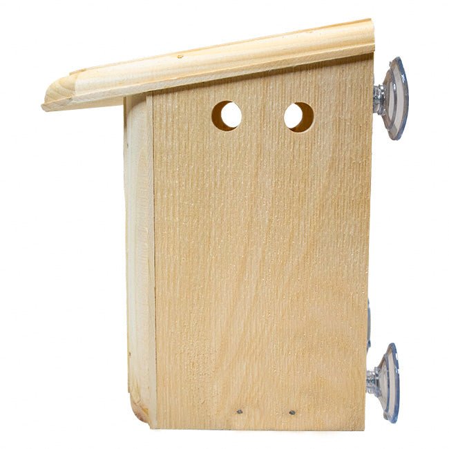 Window Nest Box - BIRDLOVER
