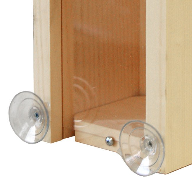 Window Nest Box - BIRDLOVER