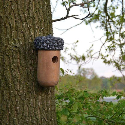 Wooden Acorn Bird House