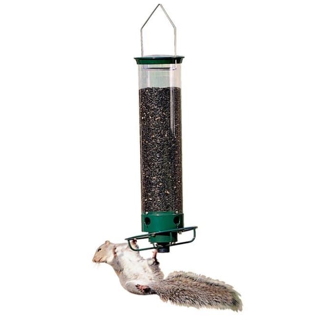 Yankee Flipper Squirrel Proof Bird Feeder - BIRDLOVER