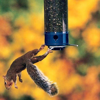 Yankee Whipper Bird Feeder, Squirrel Proof